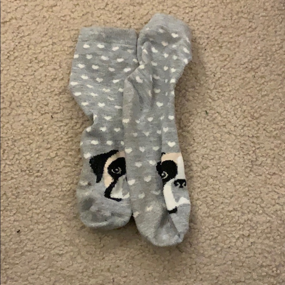doggie socks!